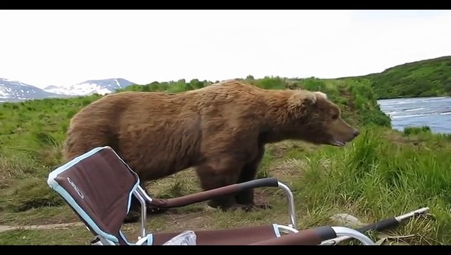 Russian Bear visits Fisherman - Медведь пришел к рыбакам, посмотрел на реку, зевнул и ушел