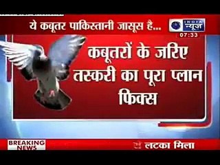 Very Funny India nay Pakistan Ko Expose kr Dia - Video Dailymotion