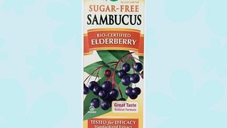 Nature's Way Sambucus Sugar-Free Syrup 8 Ounce (Pack of 3)