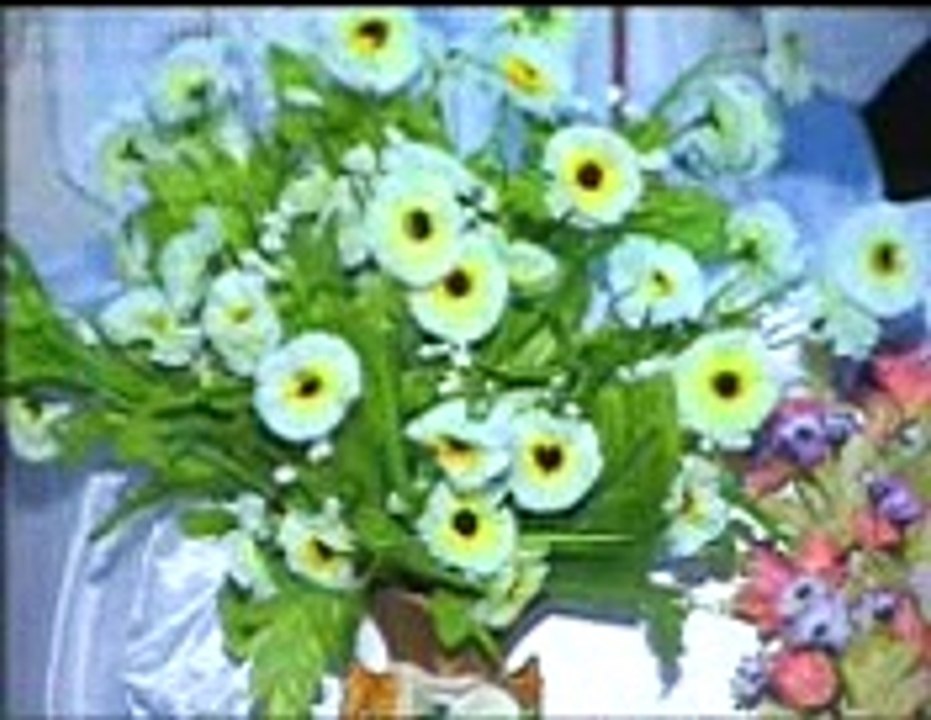 AVSEQ12_mpeg4