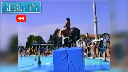 HahaTV - YouTube Rewind 2014 HAHATV Best Funny Videos 2014