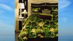 Rose Tree Rain Forest King Comforter Set