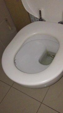 Araignée dans les toilettes - Vidéo Dailymotion