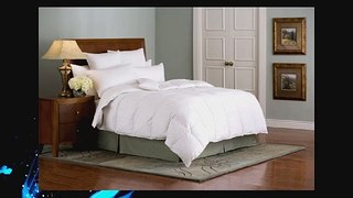 600 Thread Count Queen Siberian Goose Down Alternative Comforter [600FP 50oz] with 100% Egyptian