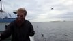 Man catches Cute Seagull with bare hands ! - Моряк поймал Чайку на лету голыми руками !