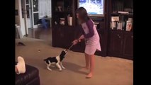 [FNE]  Amazing Spinning Dog Trick