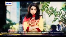 Mamta Title Song on Ary Digital