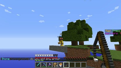 Hacker in skywars ( stefanps10 )