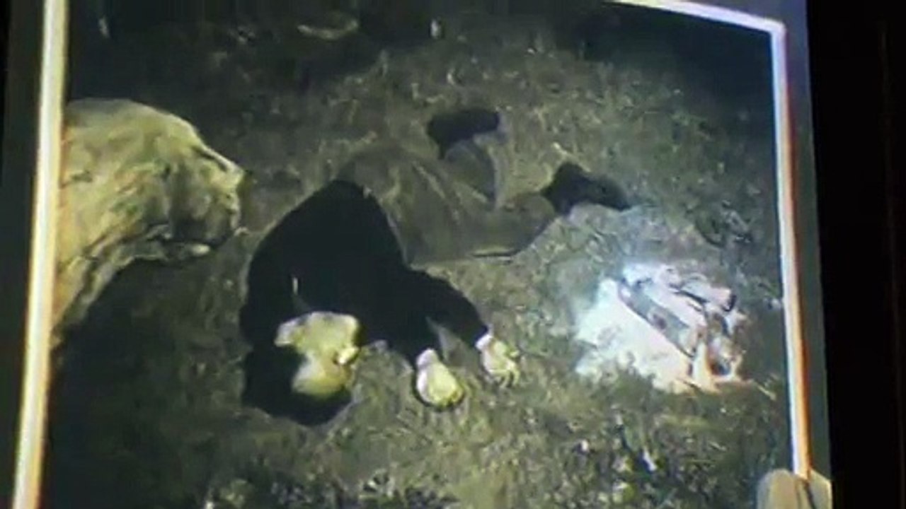 ­생­중­계­바­카­라­ブブ ＭＡＳ７７。Ｃ○Ｍ ずず­생­중­계­바­카­라­