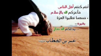 تاريخ المشروع السني الإسلامي 2 📜