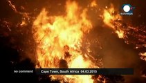 South Africa: Homes destroyed in raging Cape Town wildfires