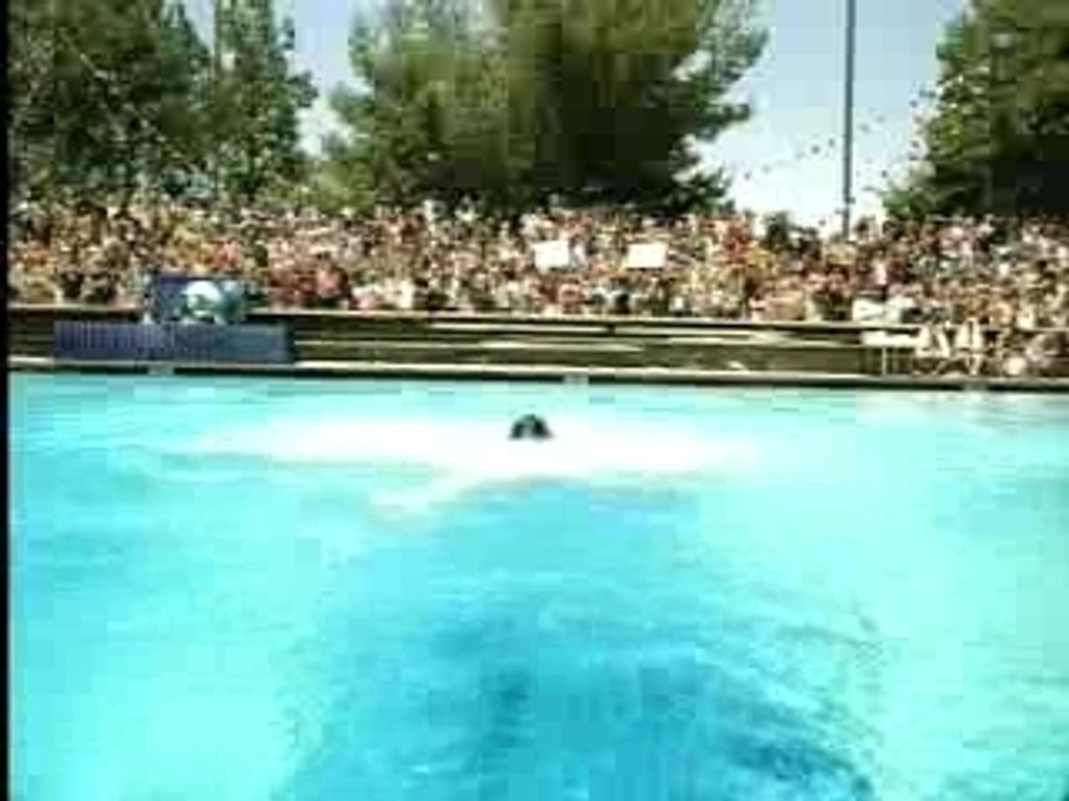 Sum 41 - In Too Deep