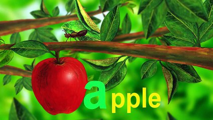 Alphabet Letter A - Lower Case