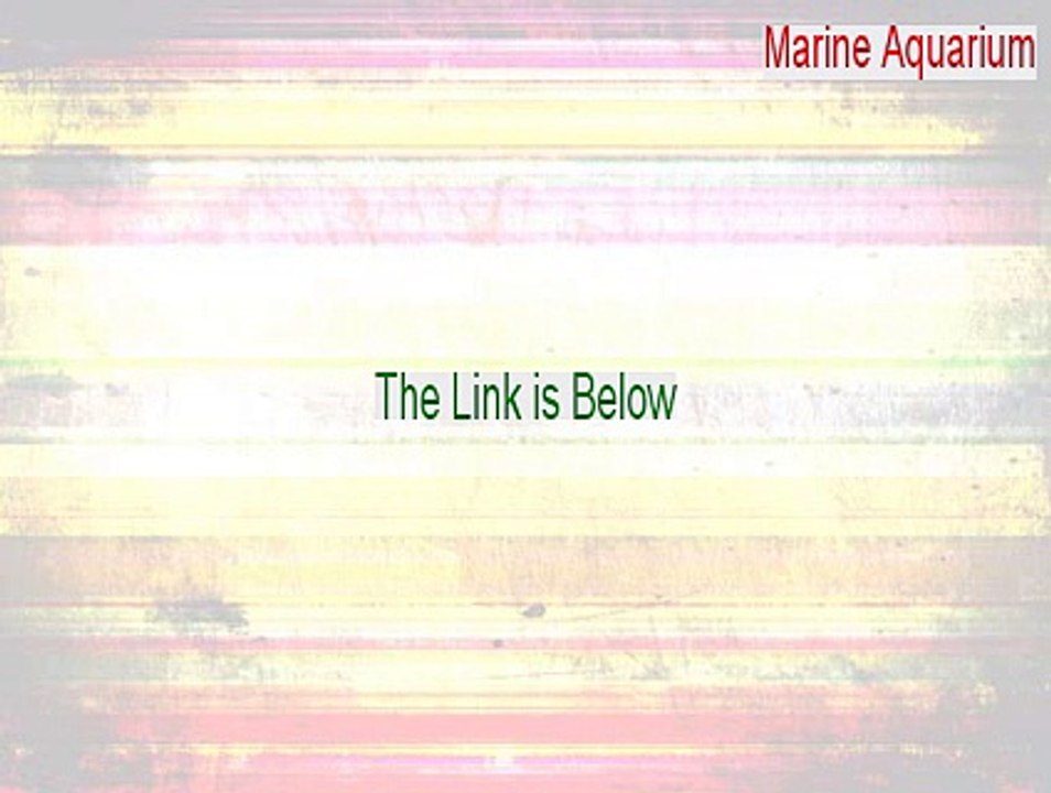 Marine Aquarium Cracked - Legit Download (2015)