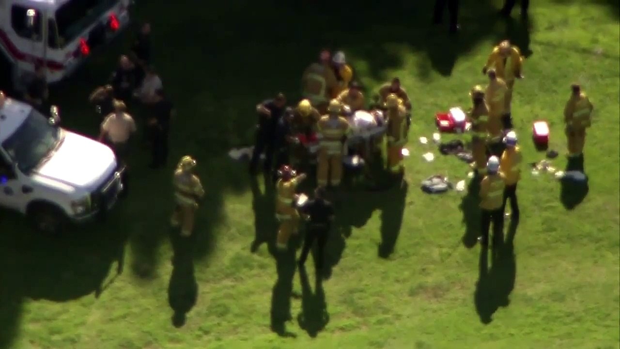 Así fue como los bomberos se llevaron a Harrison FOrd luego de su accidente