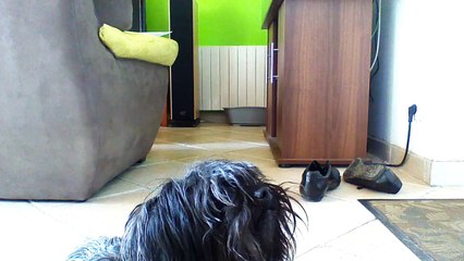 Finn Trick 1 entrainement toujours