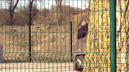 Un accueil de jour pour les migrants à Calais