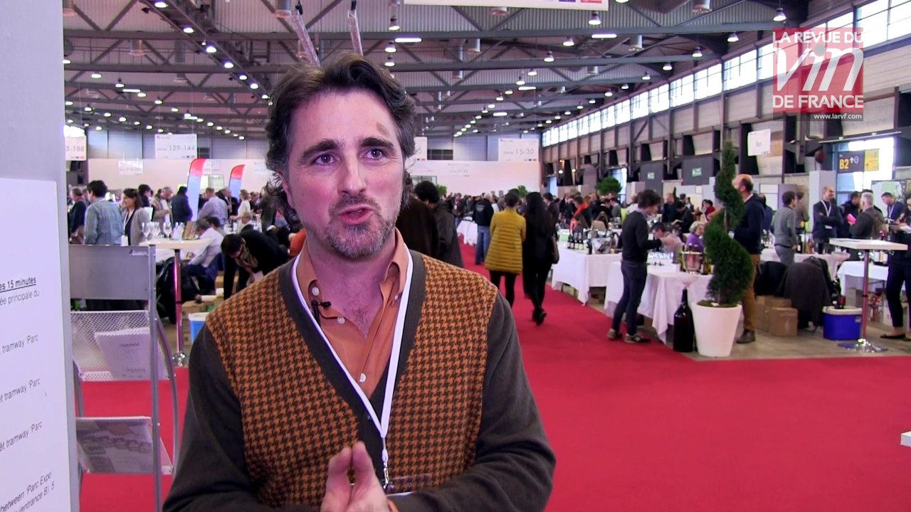 Vin bio, vin biodynamique, vin nature : quelles différences ?