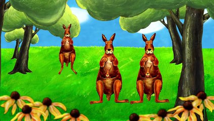 Learning ABC - K is for Kite & Kangaroo - Lower Case Alphabet  k