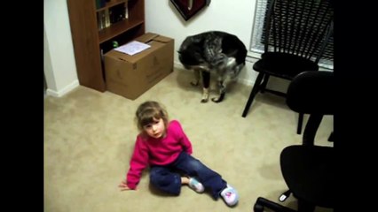 [FNE]  Dog And Little Girl Chasing Their Tails