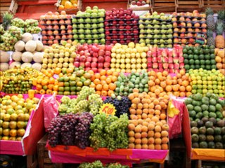 Segundo Curso de Cultivos Frutales de Exportacion