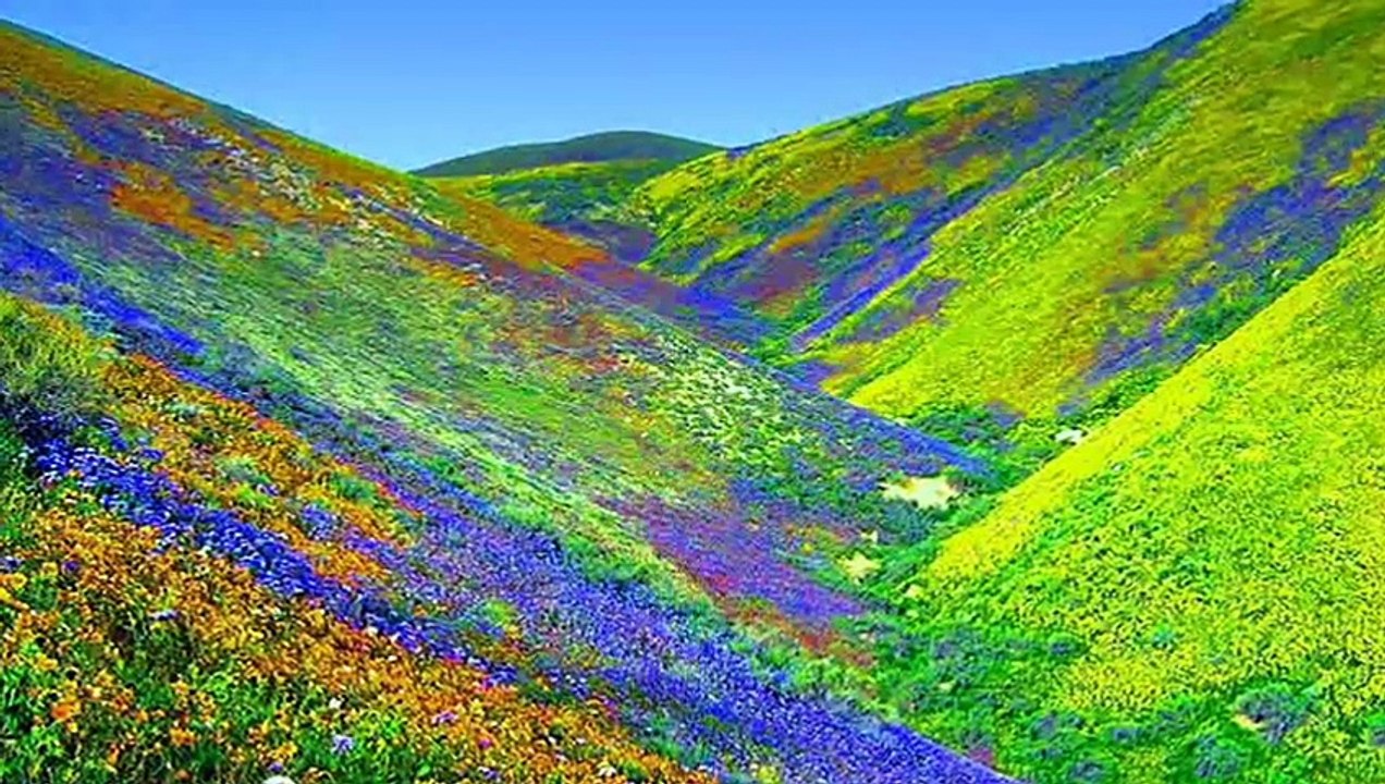Valley of Flowers National Park -   Uttarakhand
