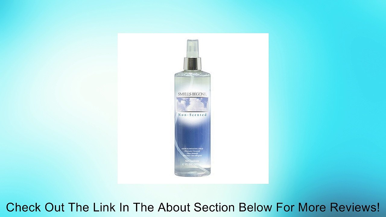 Punati Chemical 00112 Smells Be Gone 12-oz. Pump Spray Deodorizer Review