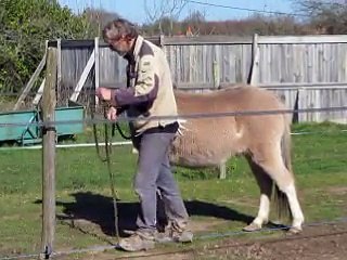 Popsy  se laisse plus facilement attraper.