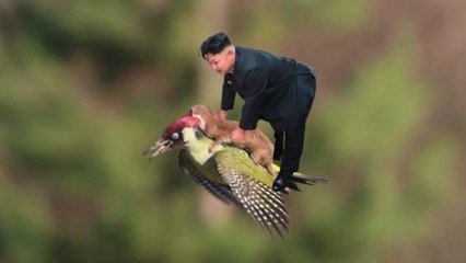 Kim Jong Un Bending Over is Hilarious New Meme