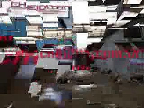 ALUGAR GALPAO DUTRA GAURULHOS (11-3232.1250)