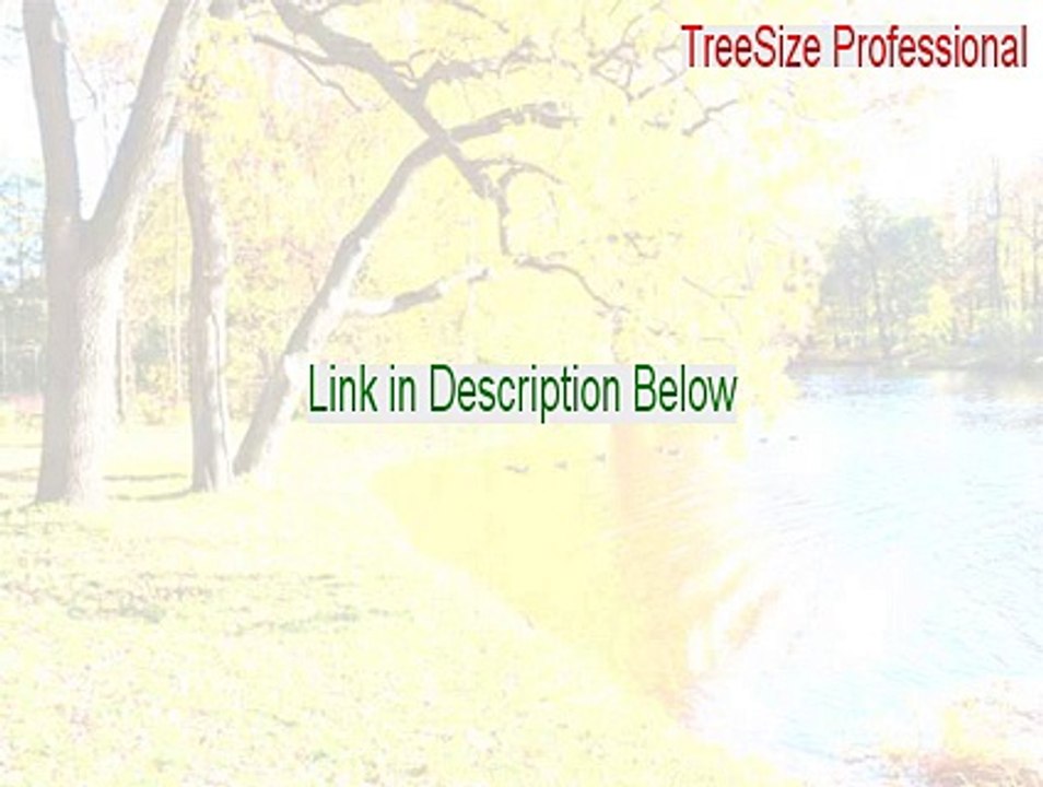 TreeSize Professional Download [treesize professional portable 2015]