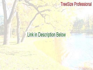 TreeSize Professional Download [treesize professional portable 2015]