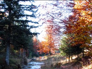 Octobre de Francis Cabrel revisité par JP Cassenx