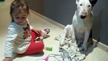 Une petite fille joue la vétérinaire avec son chien, visiblement très patient