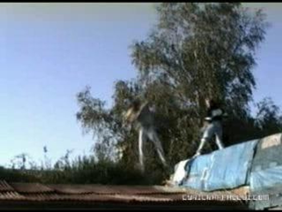 le boss cyril raffaelli