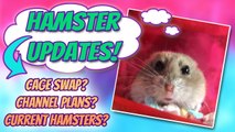 HAMSTER UPDATES! Current Hamsters? Cage Swap? Channel Plans??