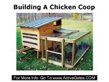 Building A Chicken Coop - How to Make Home Backyard Chicken Coops