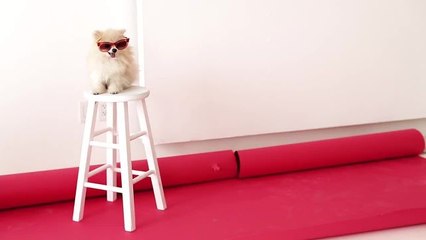 Behind the Scenes - Lucky Influencers: What Was Your Fashion First?