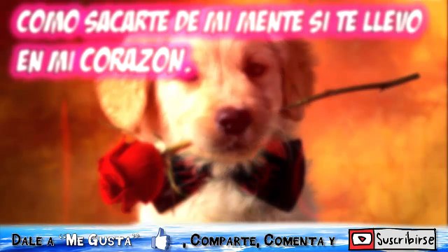 DIA DE SAN VALENTIN FRASES DEL DIA DE SAN VALENTIN-DIA DE LOS ENAMORADOS-VALENTINE'S DAY-AMOR-LOVE