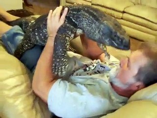 INCROYABLE : Ce mec regarde la Tv avec son Varan sur lui