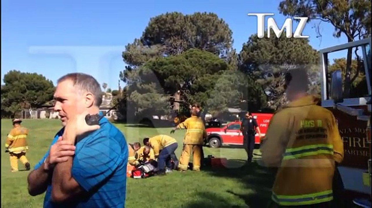 Harrison Ford Plane Crashes Actor Seriously Injured