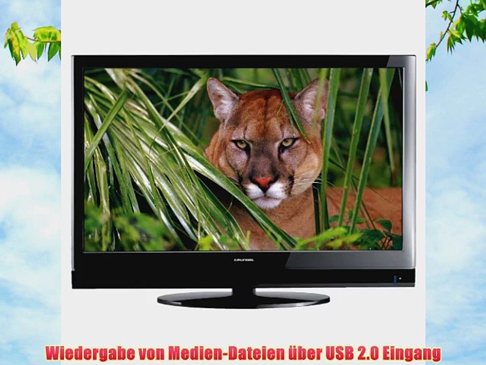 Grundig 32 VLC 6110 C 81 cm (32 Zoll) LCD-Fernseher (Full-HD 100Hz PPR DVB-T/C CI ) schwarz