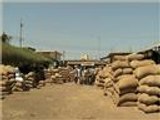 السودان يحقق أكبر إنتاج من المحاصيل الزراعية