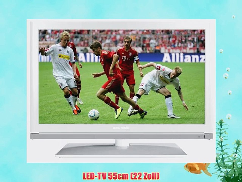 Grundig 22 VLE 8120 WG 56 cm (22 Zoll) LED-Backlight-Fernseher (Full-HD DVB-T/C/S2) wei?