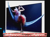 Thomson 40FW6765/G 102 cm (40 Zoll) 3D-LED-Backlight-Fernseher (Full-HD 200Hz CMI DVB-C/S/S2/T