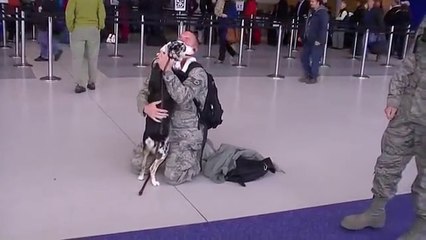 Soldiers Coming Home Emotional Compilation 18