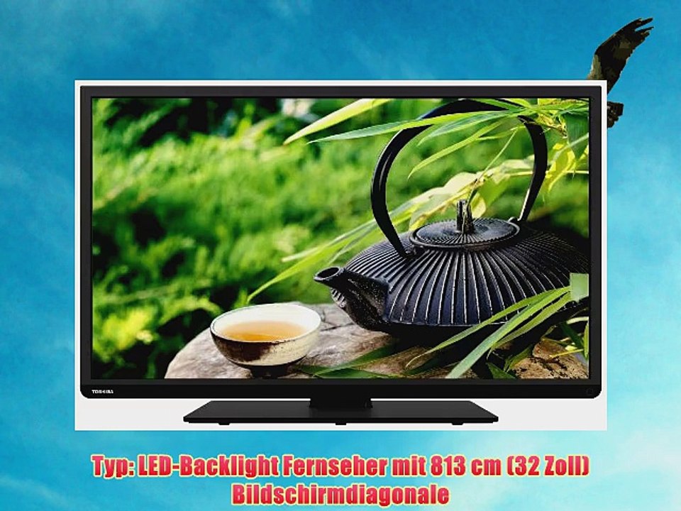 Toshiba 32L1343DG 813 cm (32 Zoll) LED-Backlight-Fernseher (Full HD 100Hz AMR DVB-T/-C/-S CI