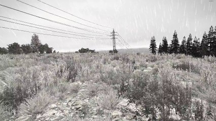 Team [POH] la vache folle !!!