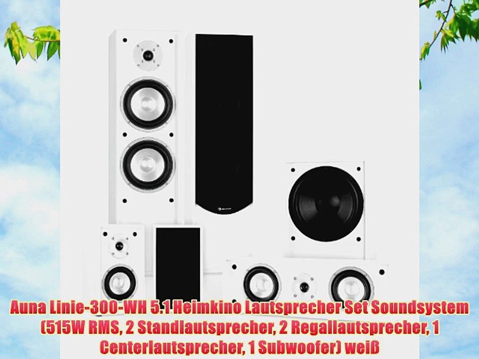 Auna Linie-300-WH 5.1 Heimkino Lautsprecher Set Soundsystem (515W RMS 2 Standlautsprecher 2