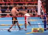 Vitali Klitschko vs. Danny Williams